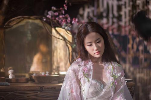 办个大专证